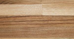 elm-eup.jpg elm-eup.jpg