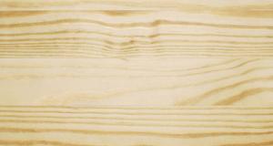 pitch-pine.jpg pitch-pine.jpg