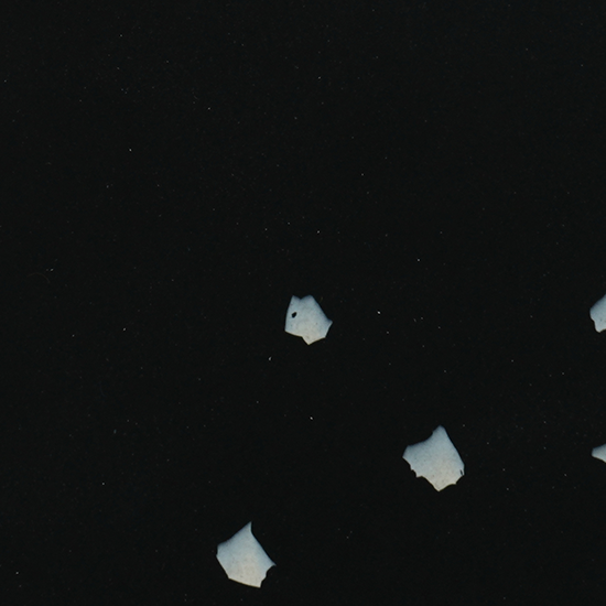 Polygood plade af genanvendt plast - PS1202 Reverse Timeless Duo